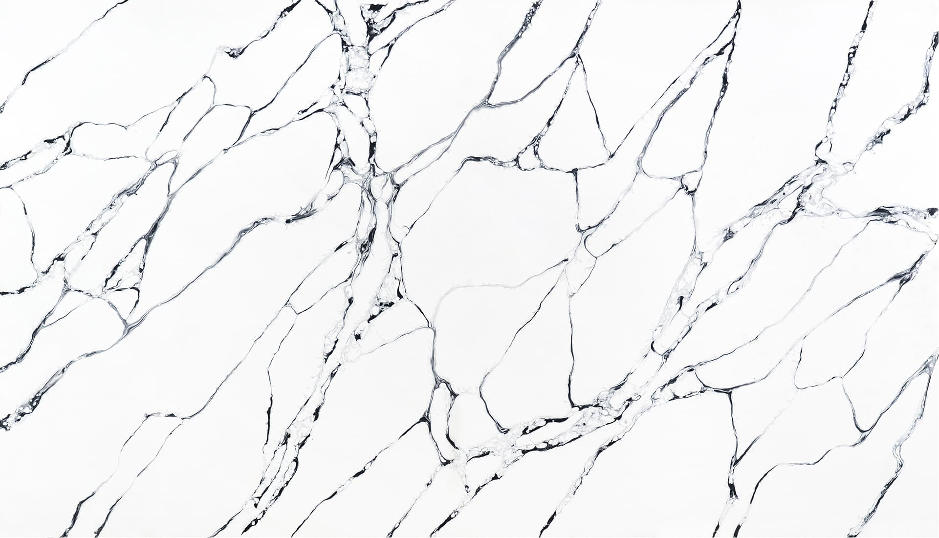 Calacatta White Black