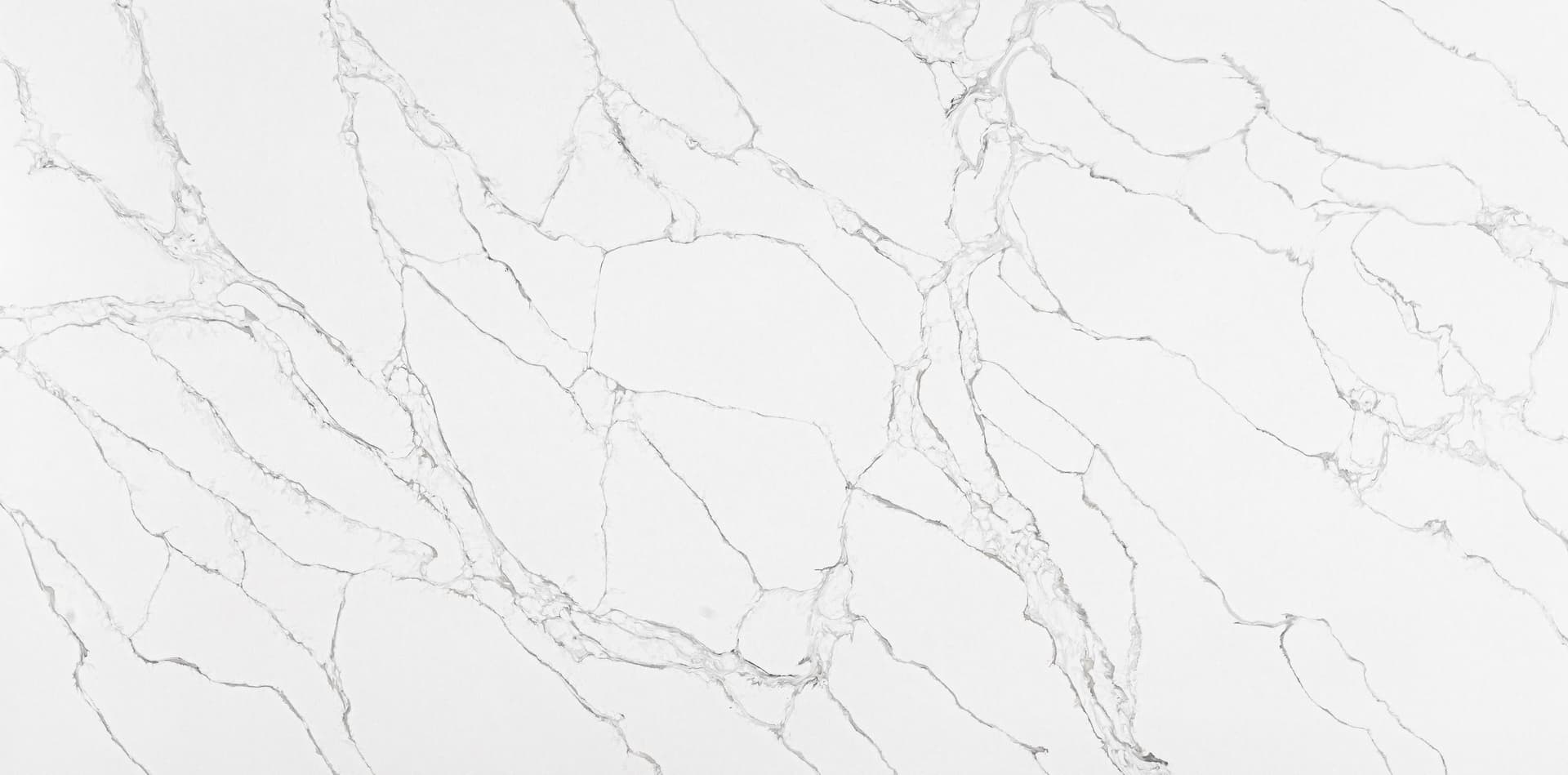 Calacatta White Brown